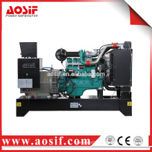 Good quailty famous brand diesel dynamo generator 20kw